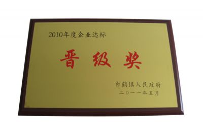 2010年企業(yè)達(dá)標(biāo)晉級(jí)獎(jiǎng)