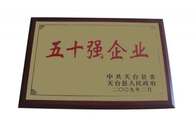 2009年五十強(qiáng)企業(yè)